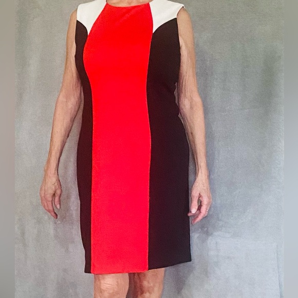Calvin Klein Dresses & Skirts - Calvin Klein Dress in Black, Red, and White Size 10